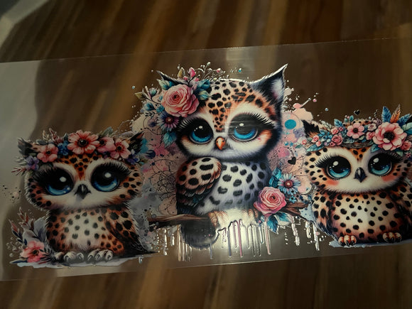 Baby owls wrap for sale